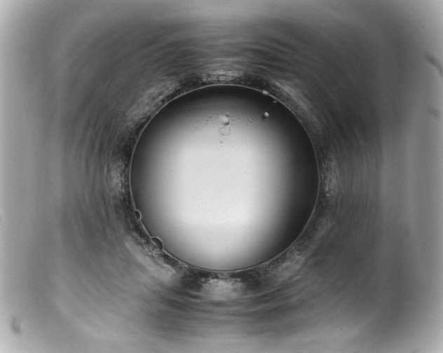 X0000100230455200805301416