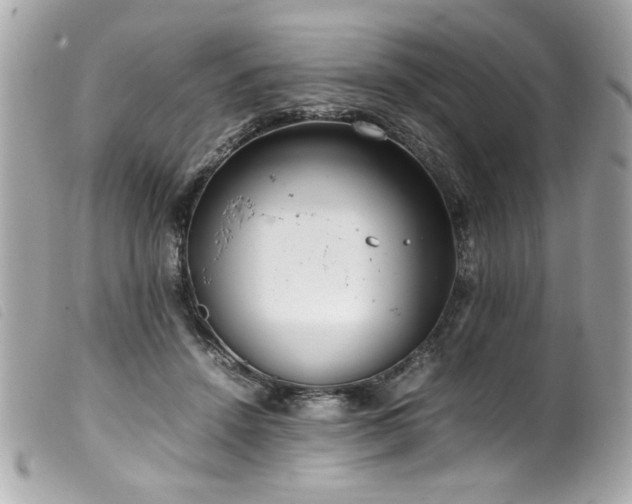 X0000100230456200805301416