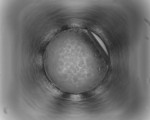 X0000100230457200805301416