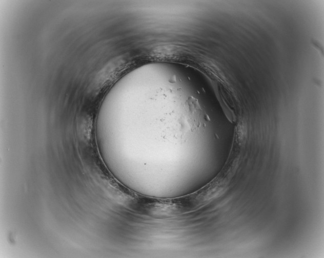 X0000100230458200805301416