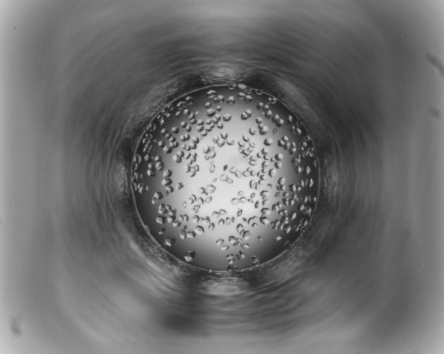 X0000100230459200805301416