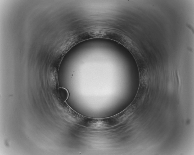 X0000100230460200805301416