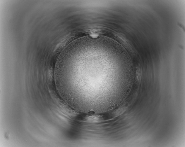 X0000100230461200805301416