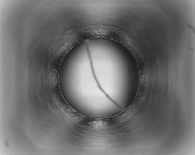 X0000100230464200805301416