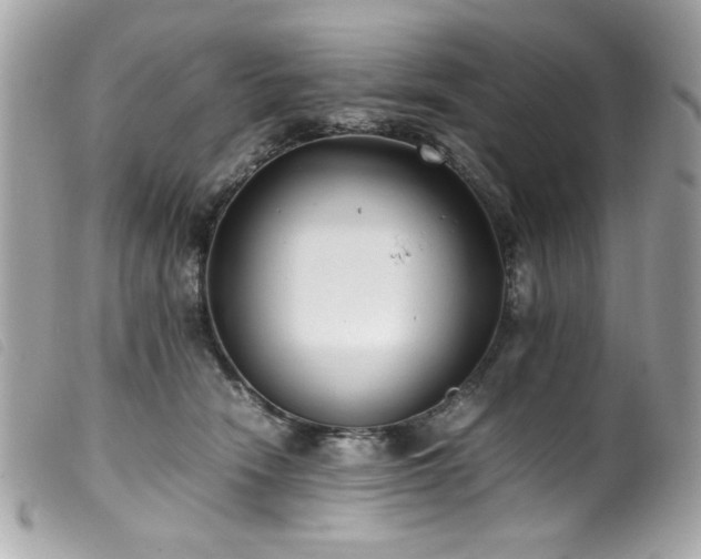 X0000100230466200805301416