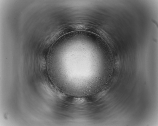 X0000100230469200805301416