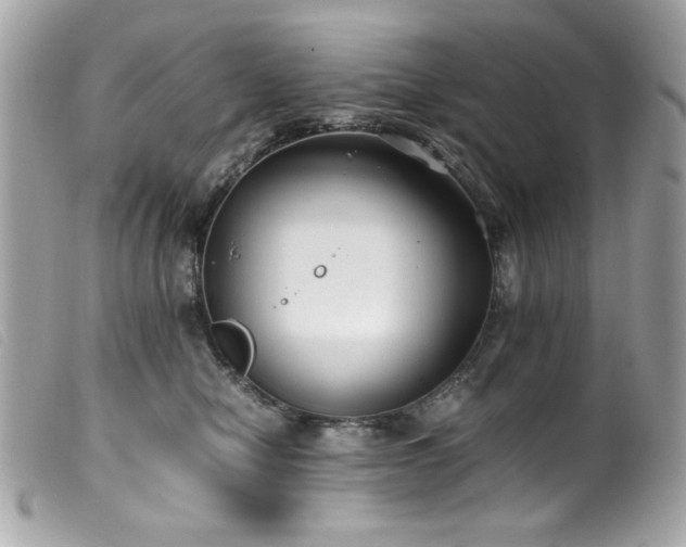 X0000100230470200805301416