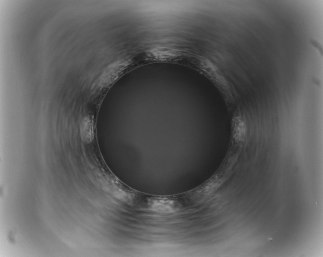 X0000100230471200805301416