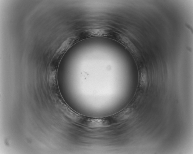X0000100230473200805301416