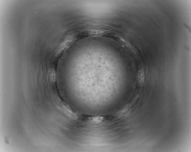 X0000100230474200805301416