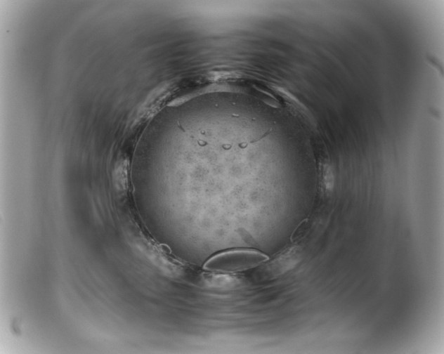 X0000100230475200805301416