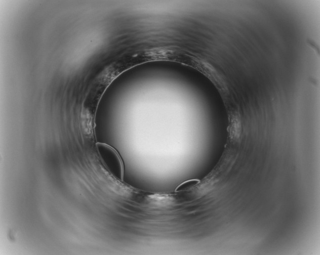 X0000100230477200805301416