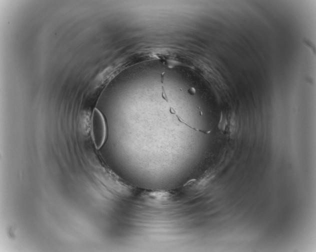 X0000100230478200805301416