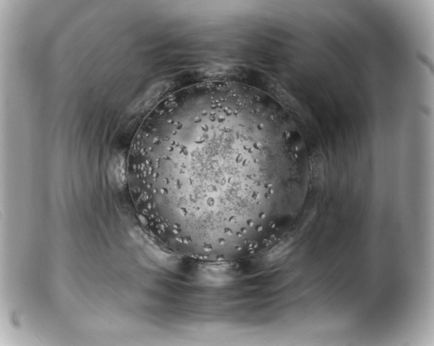 X0000100230479200805301416