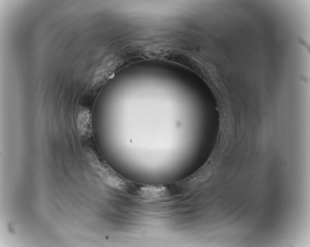 X0000100230480200805301416