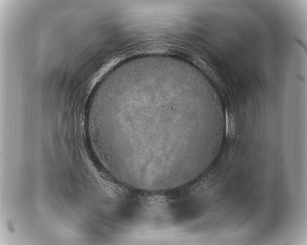 X0000100230483200805301416