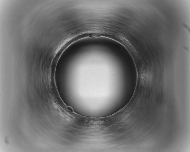 X0000100230484200805301416