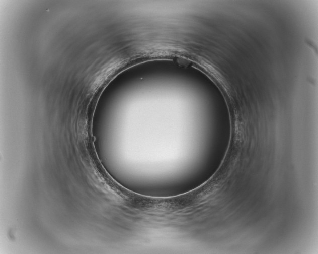 X0000100230485200805301416