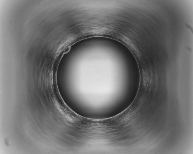 X0000100230486200805301416
