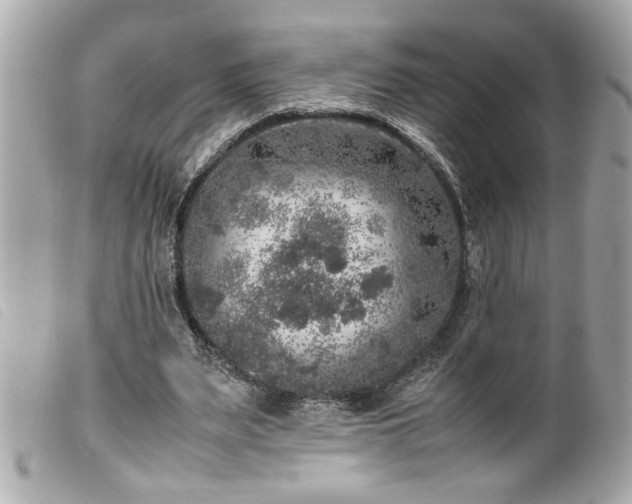 X0000100230487200805301415