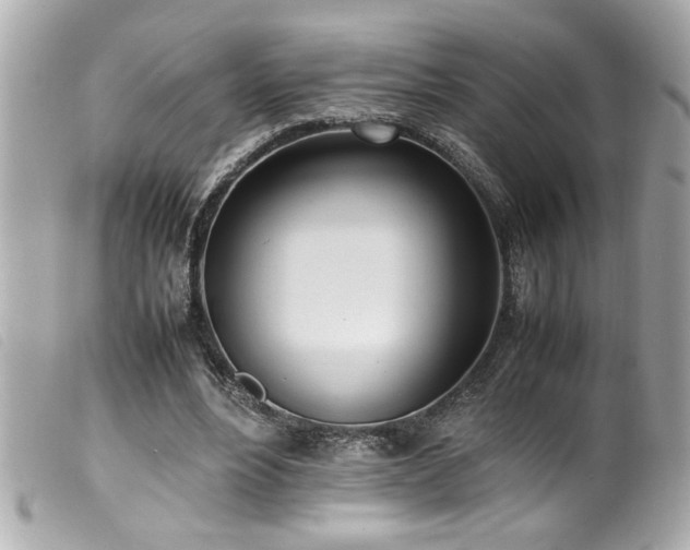X0000100230488200805301415