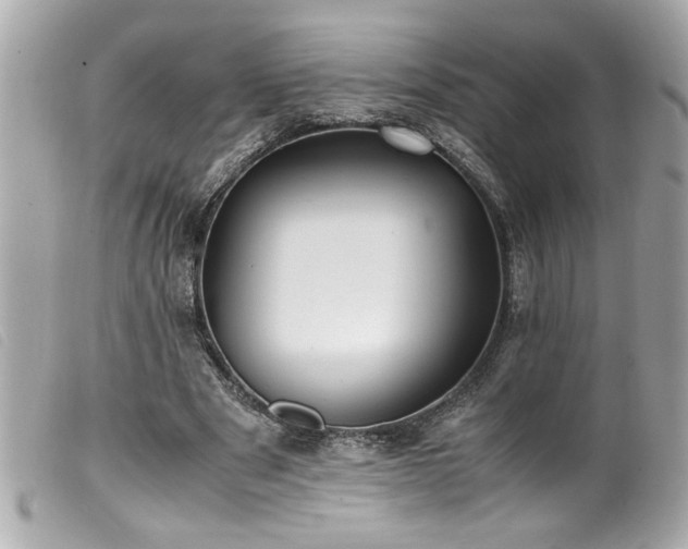 X0000100230489200805301415