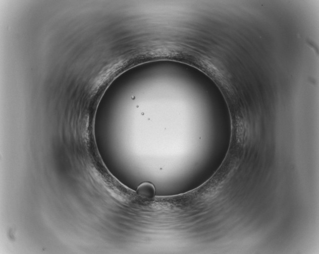 X0000100230490200805301415