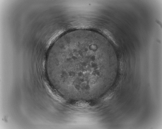 X0000100230491200805301415
