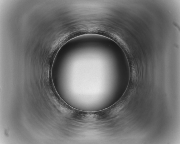 X0000100230493200805301415