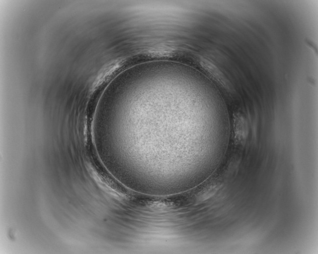 X0000100230494200805301415