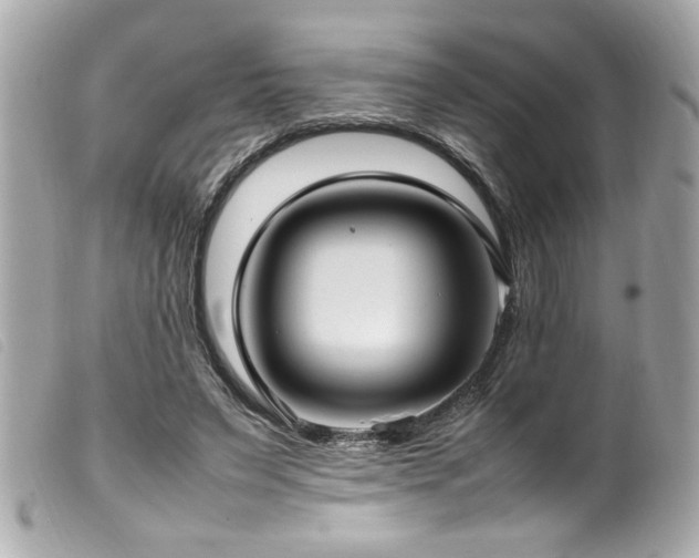 X0000100230495200805301415