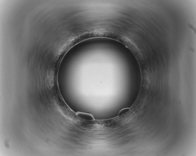 X0000100230496200805301415