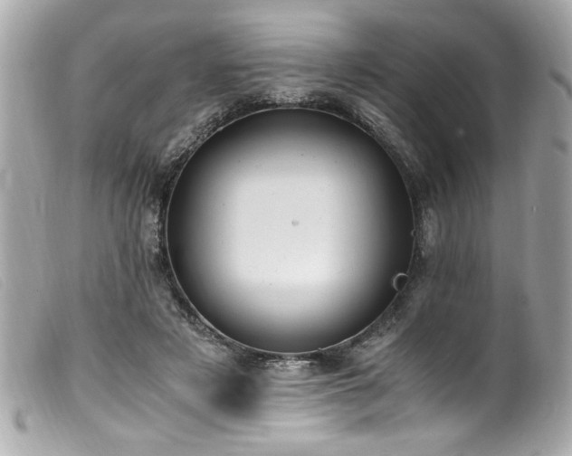 X0000100230497200805301415