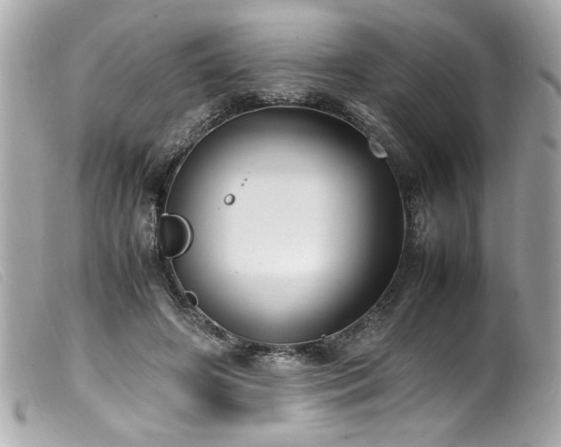 X0000100230498200805301415