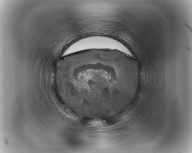 X0000100230499200805301415