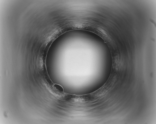 X0000100230500200805301415