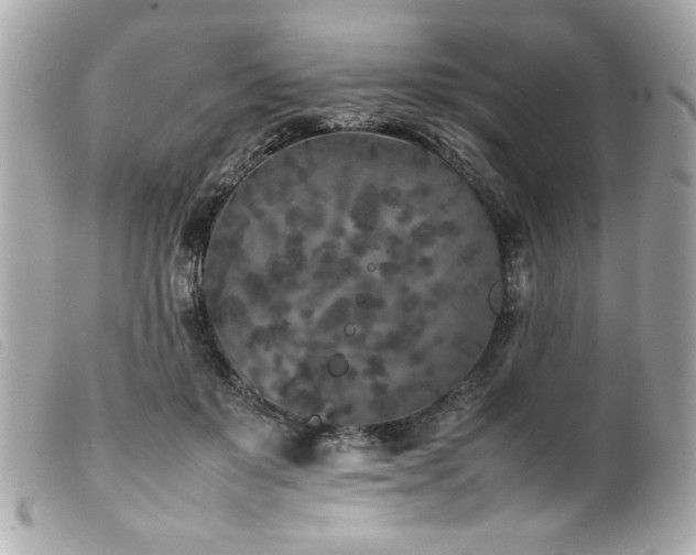 X0000100230503200805301415