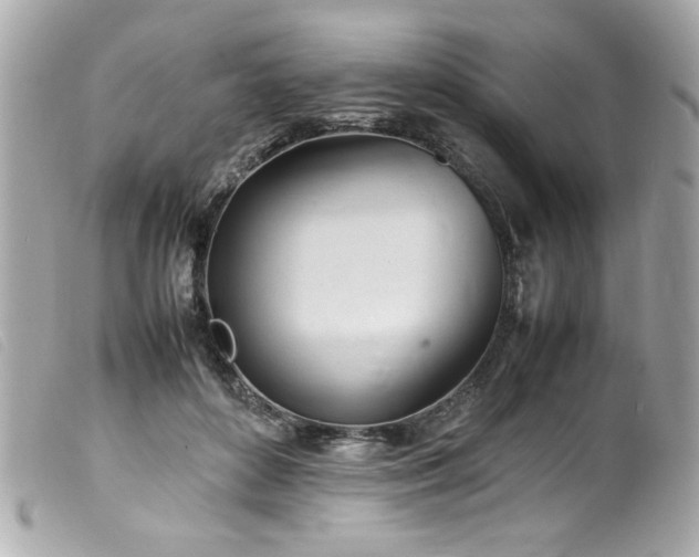 X0000100230504200805301415