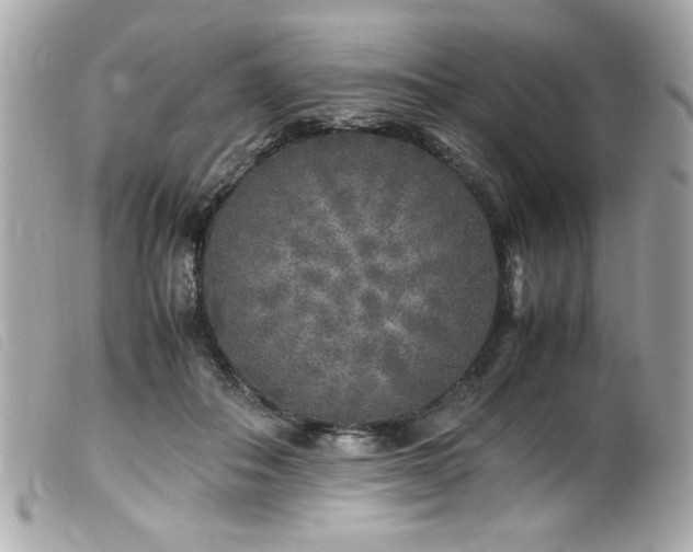 X0000100230506200805301415