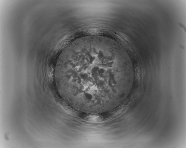 X0000100230507200805301415