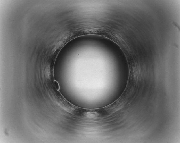 X0000100230508200805301415