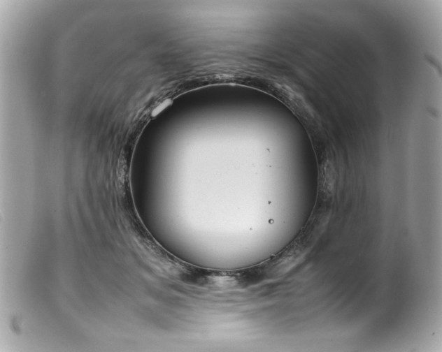 X0000100230509200805301415