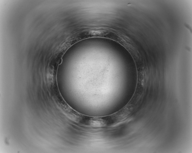 X0000100230510200805301415