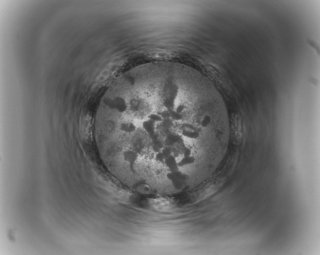 X0000100230511200805301415