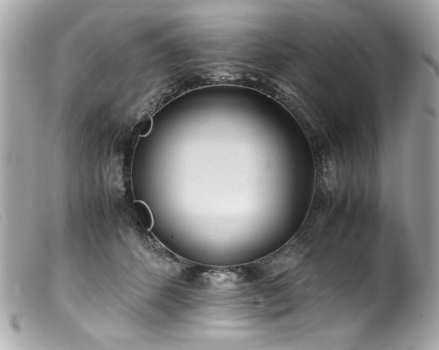 X0000100230512200805301415