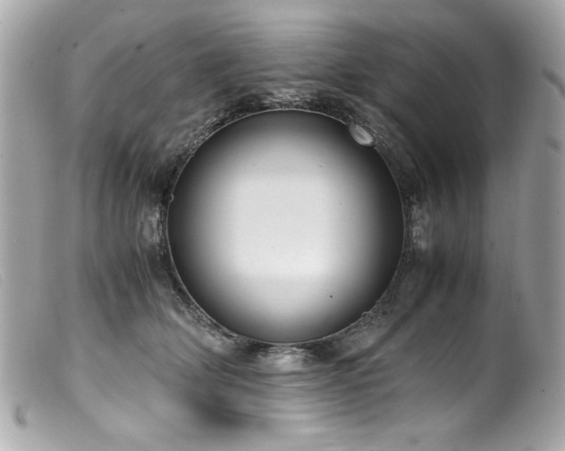 X0000100230514200805301415