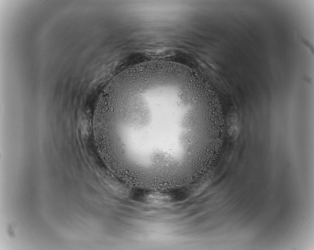 X0000100230515200805301415
