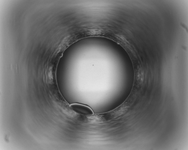 X0000100230516200805301415
