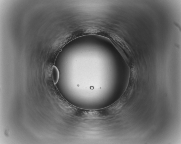 X0000100230517200805301415