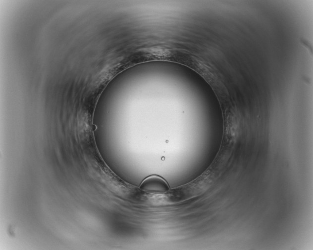 X0000100230518200805301415